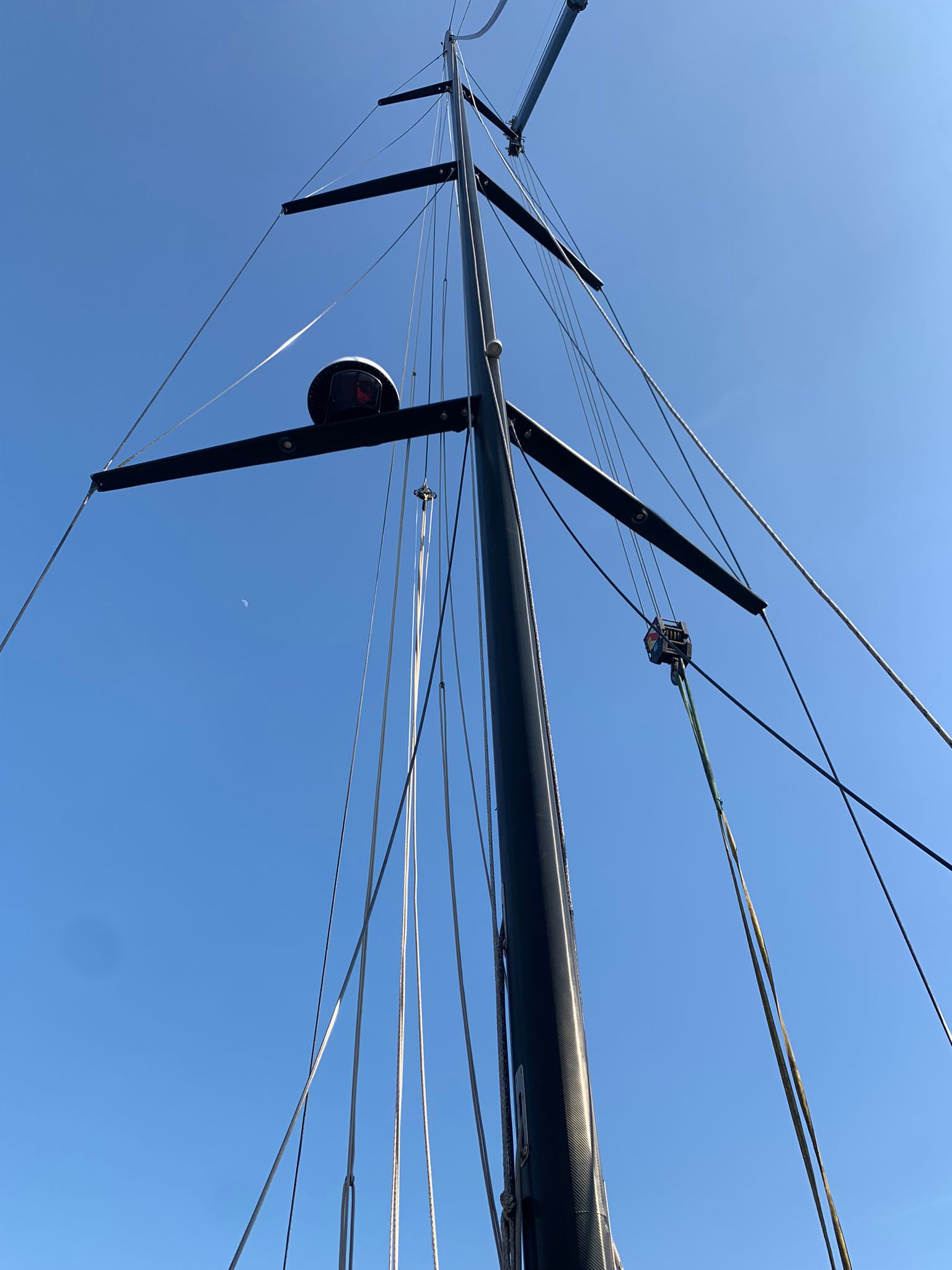 ALBERO Maxidolphie 65 ft